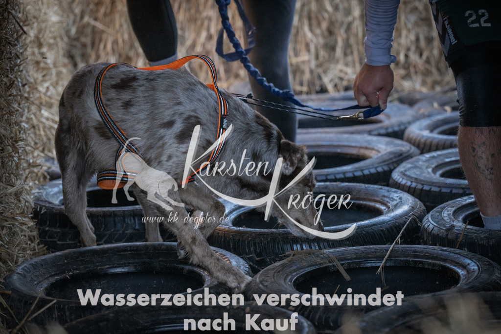 0928_ZZ93083 | kk-dogfotos