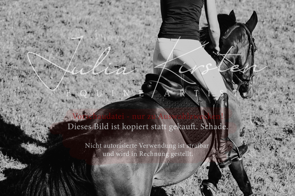 DSC_2042 | Pferde- und Turnierfotografie in Westsachsen. Pferdeportraits, Auftragszeichnungen und intuitive Kunst.