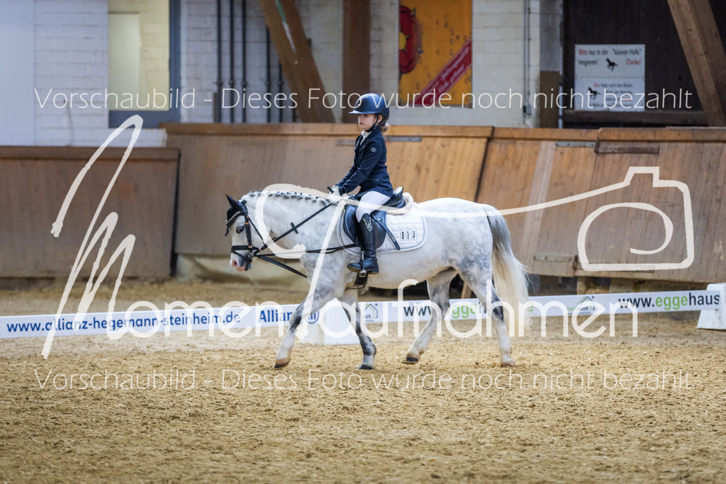 _M2A1950 | MomenTaufnahmen Pferdesportfotos