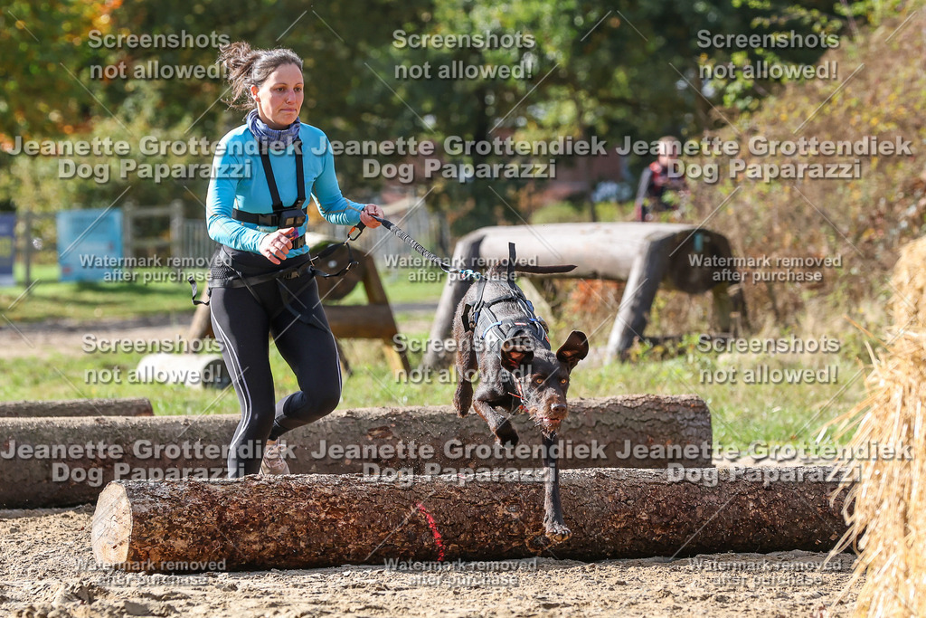 Dog Paparazzi - Strongdog 10-25-5322 | Dog Paparazzi Jeanette Grottendiek Fotografie & Videografie - Realisiert mit Pictrs.com