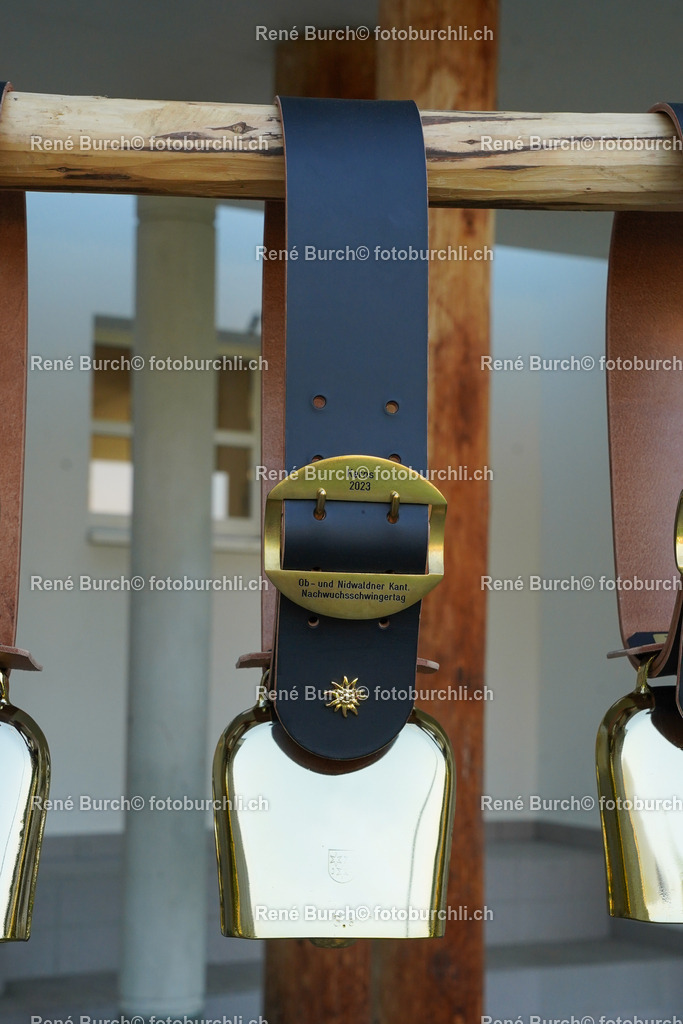 DSC00265 | René Burch leidenschaftlicher Fotograf aus Kerns in Obwalden.  Hier finden sie Sport, Landschaft und Natur Fotografie.
 - Realisiert mit Pictrs.com