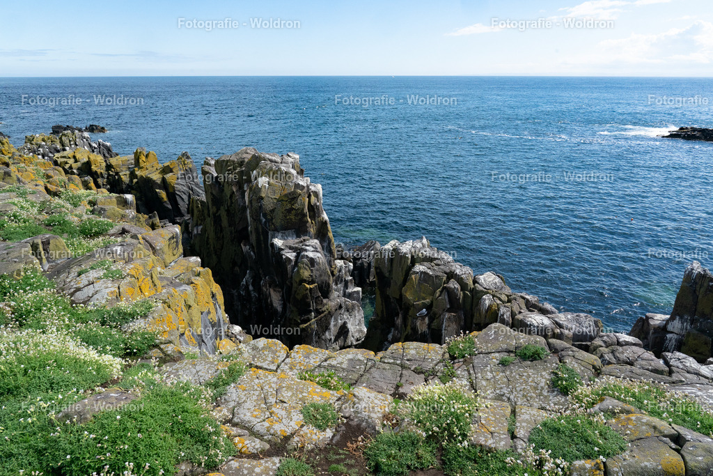 20230815 Isle of Sky - St.Andrews - Dundee-48 | Fotografie Woldron