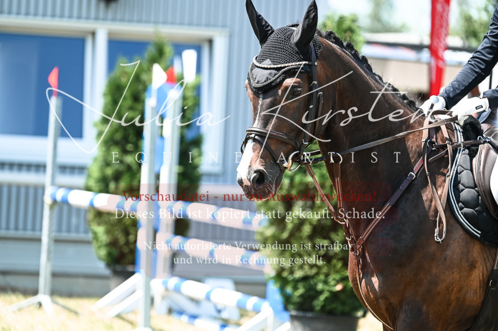 DSC_0431 | Pferde- und Turnierfotografie in Westsachsen. Pferdeportraits, Auftragszeichnungen und intuitive Kunst.