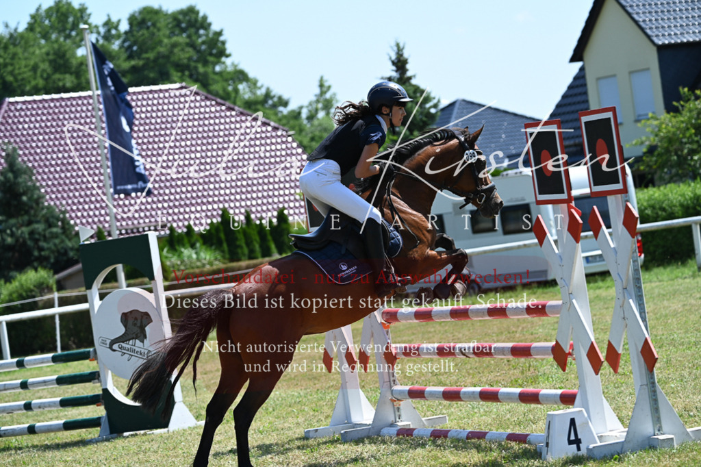 DSC_0823 | Pferde- und Turnierfotografie in Westsachsen. Pferdeportraits, Auftragszeichnungen und intuitive Kunst.