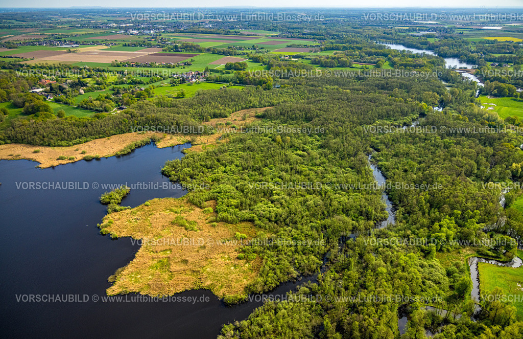 Nettetal240402921KrickenbeckerSeen | Luftbild, Waldgebiet zwischen Fluss Nette und Kleine Renne, Uferbereich Krickenbecker See und Fernsicht, Hombergen, Nettetal, Niederrhein, Nordrhein-Westfalen, Deutschland