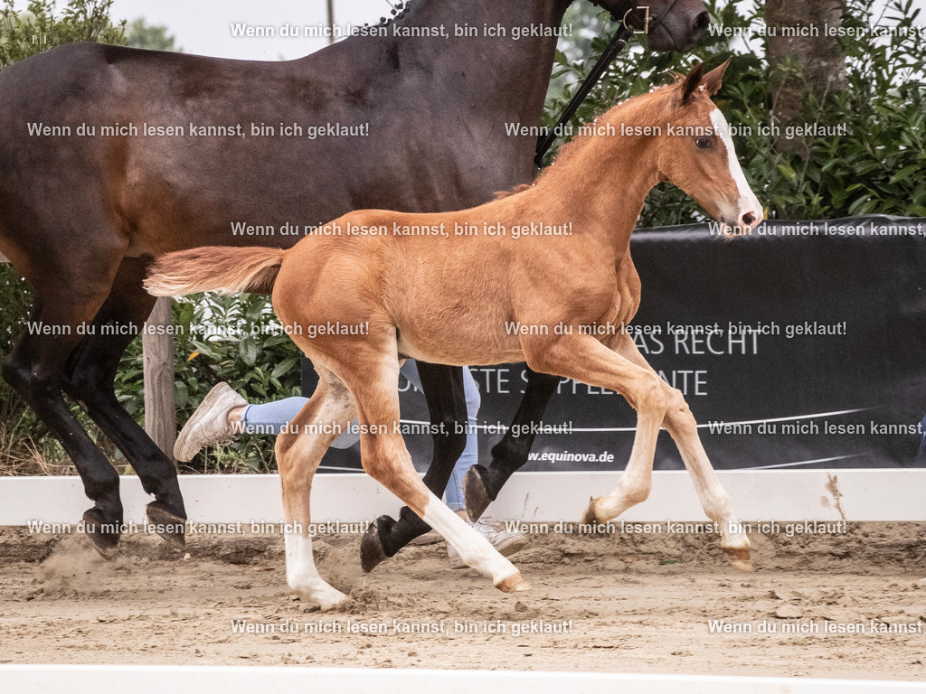 A10I9862 | photographylinaismer - Realisiert mit Pictrs.com