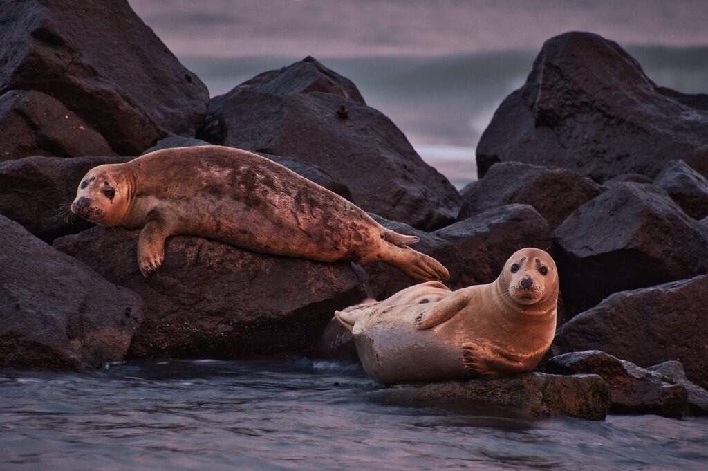 ZFC_7193 | Unvergessliche Erinnerungen in Bildern festgehalten! Ob Hochzeit, Shooting oder Landschaft  - Ich bin dein Fotograf in Erfurt und Umgebung! Photo-Rauch | Sandro Rauch - Realisiert mit Pictrs.com