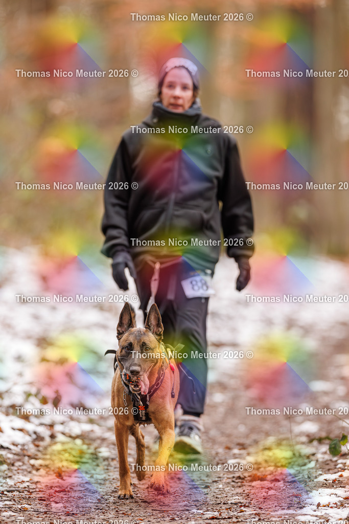 Thomas_Nico_Meuter(C)_223A9342 | Bild von Thomas Nico Meuter - Realisiert mit Pictrs.com