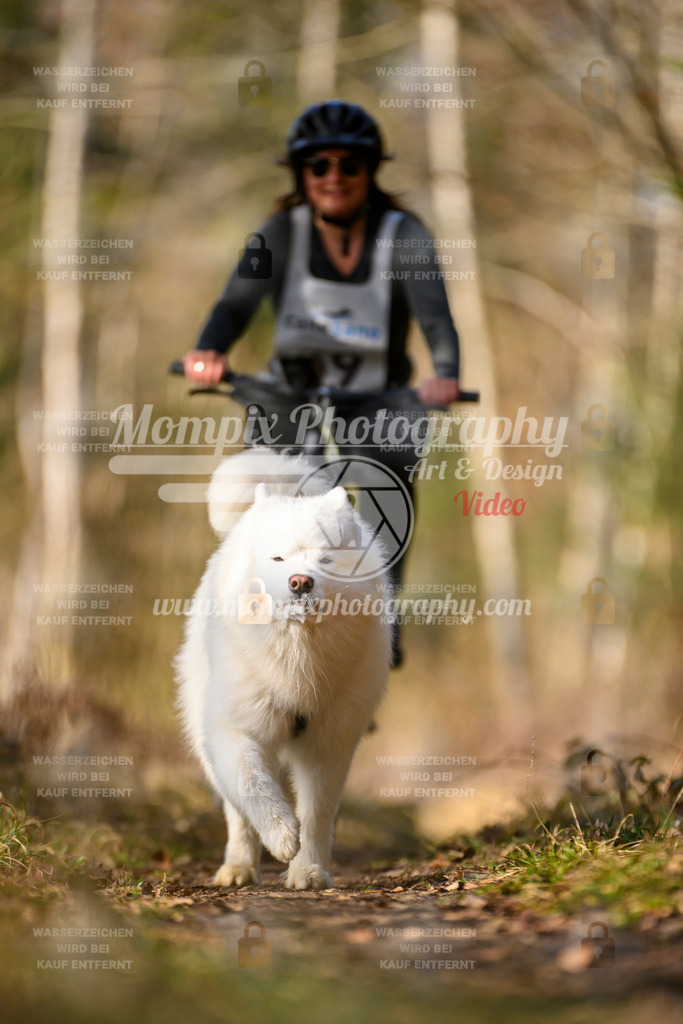 MompixPhotography_6ReiatRennen2026_SO_Bike-98 | PayLife