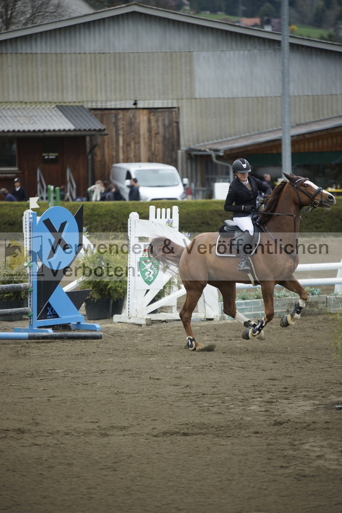 _DSC7106 | equestrian-live-com