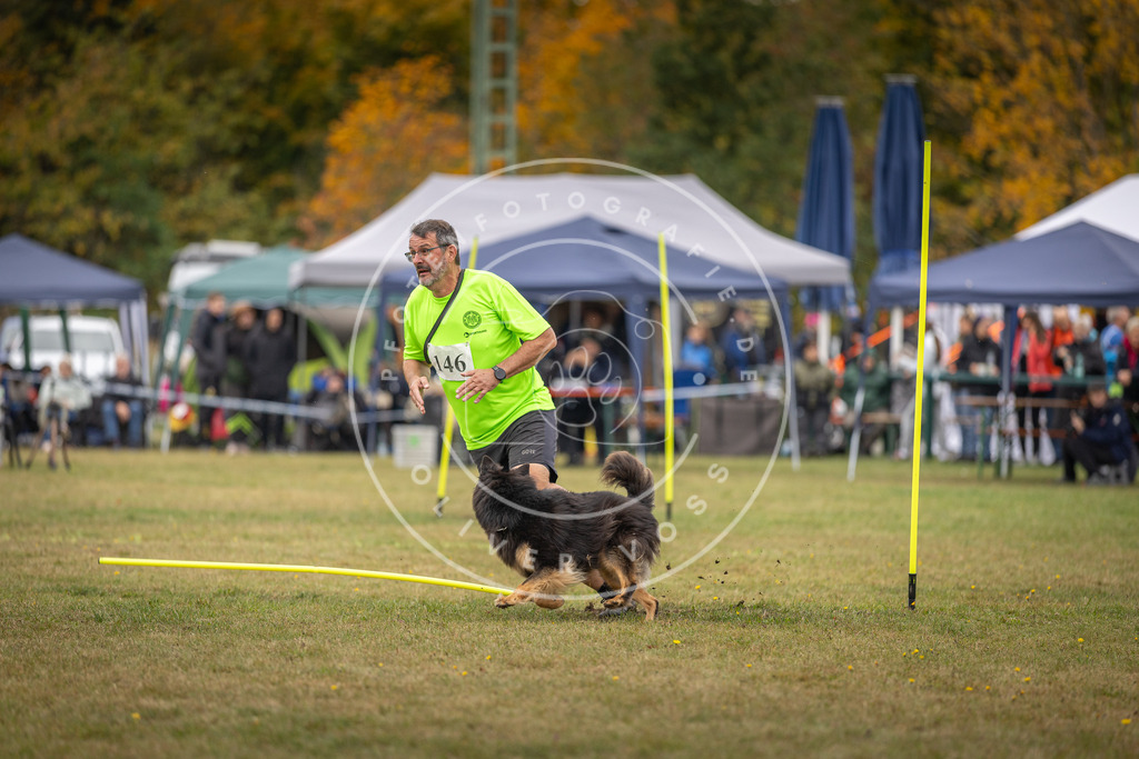 Pfotenfotografie_DV3A6366 | Hundefotografie, Tierfotograf, Pfotenfotografie, Fotoshooting Hund, Hunde Portrait, Hundesport, Hundeportraits, Heideshooting, Hunde, Sportfotograf, Hundefotograf, Turnierhundsport, THS,  - Realisiert mit Pictrs.com