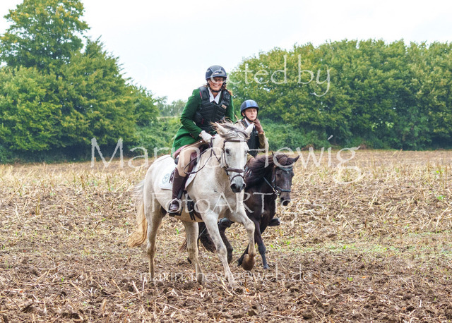 Jagd Kletkamp 26-03083_MarinaHewig | Fotografie, FotoArt, PferdesportArt, Pferdesportfotografie, Landschaftsfotografie, Reisefotografie, Reise, Pferde - Realisiert mit Pictrs.com