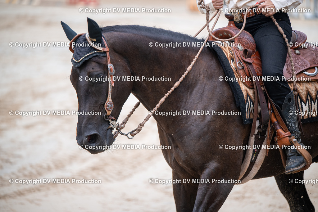 ZS2_4242 | dv-media-shop - Realisiert mit Pictrs.com