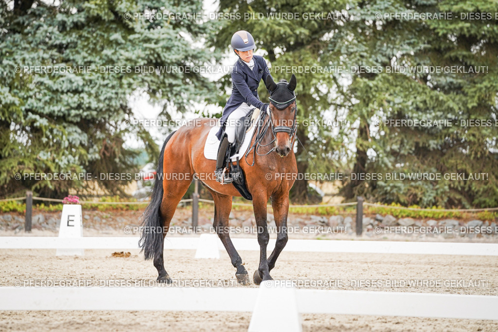 DSC05445 | Pferdegrafie