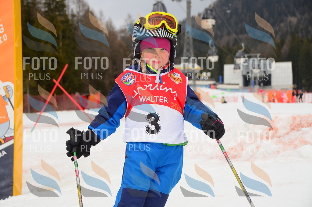 C1390 | holidayphoto