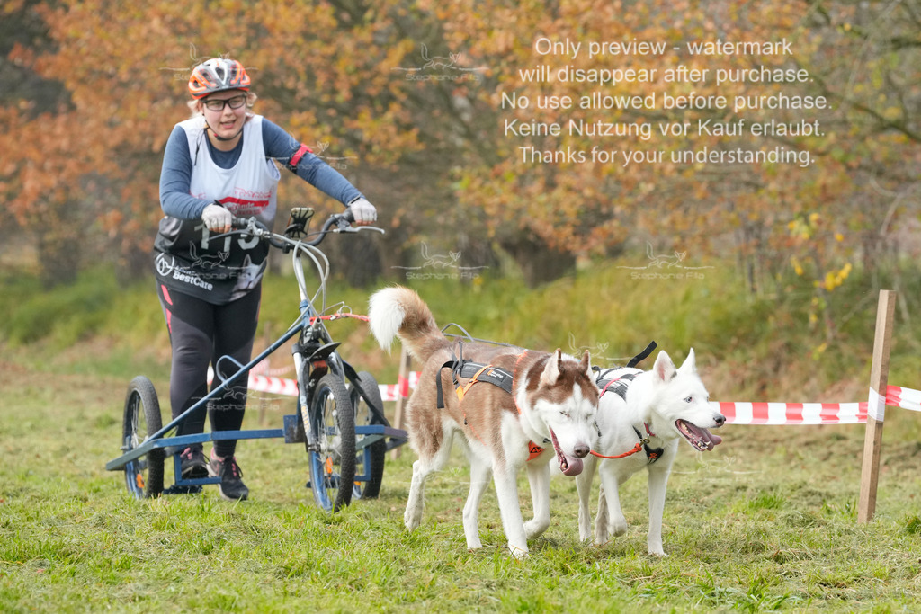 Visbeck_Sa_DS2DR2-151 | stephaniefillaphotographie - Realisiert mit Pictrs.com