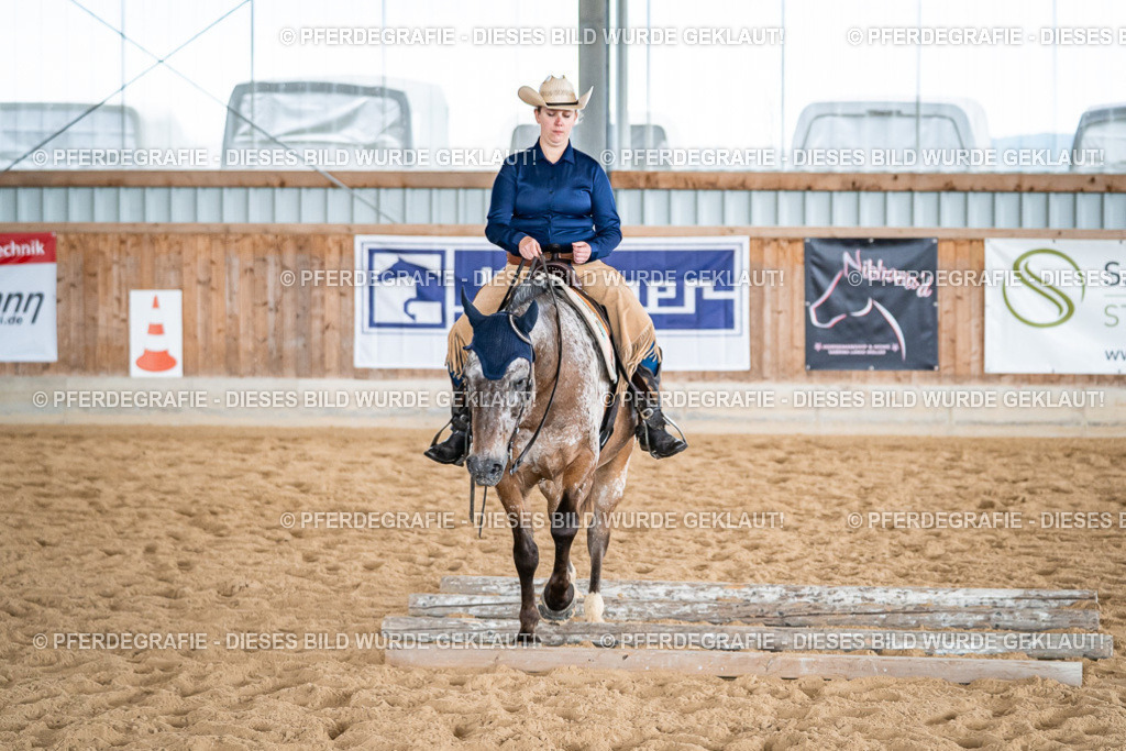 DSC03804 | Pferdegrafie