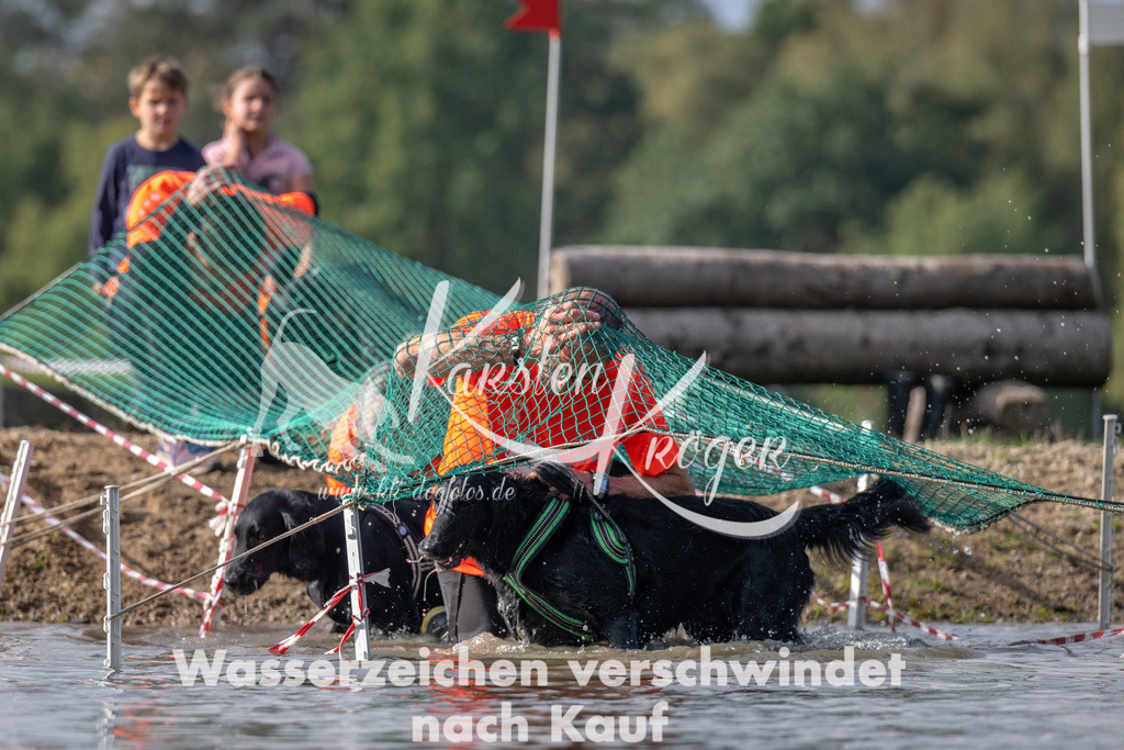 1145_ZZ93943 | kk-dogfotos