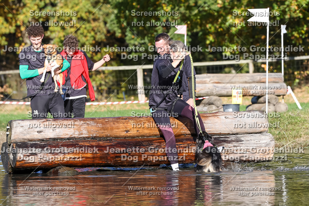 Dog Paparazzi - Strongdog 10-25-8949 | Dog Paparazzi Jeanette Grottendiek Fotografie & Videografie - Realisiert mit Pictrs.com