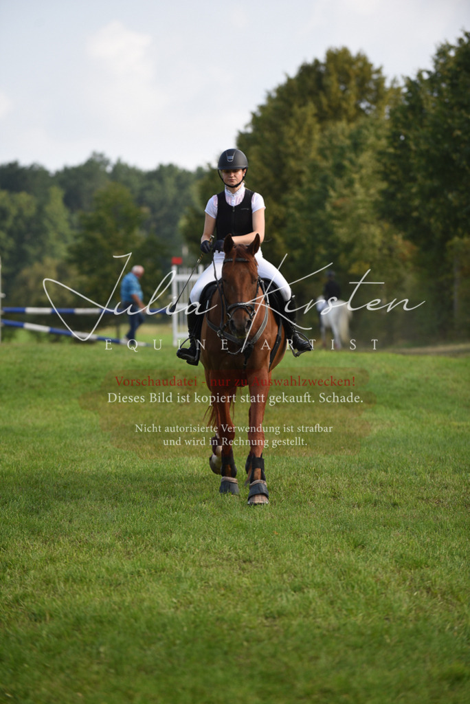 DSC_8545 | Pferde- und Turnierfotografie in Westsachsen. Pferdeportraits, Auftragszeichnungen und intuitive Kunst.