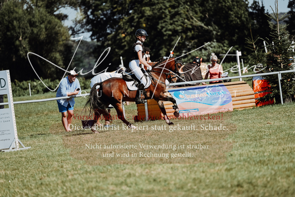 DSC_6820 | Pferde- und Turnierfotografie in Westsachsen. Pferdeportraits, Auftragszeichnungen und intuitive Kunst.