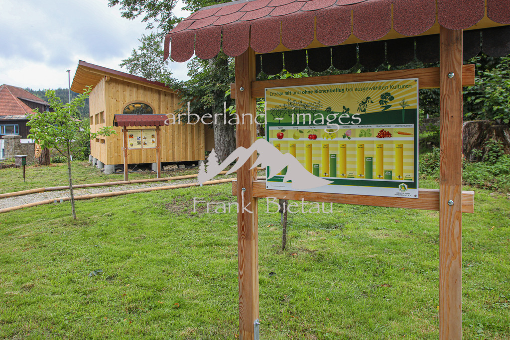 OE7A0807 | Medien- Sport- Entertainmentfotos