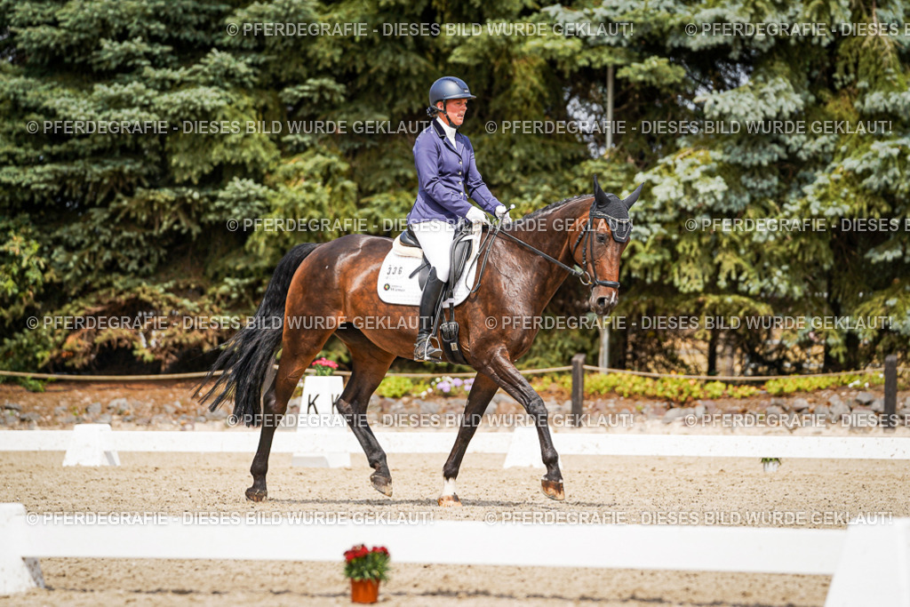 DSC04009 | Pferdegrafie