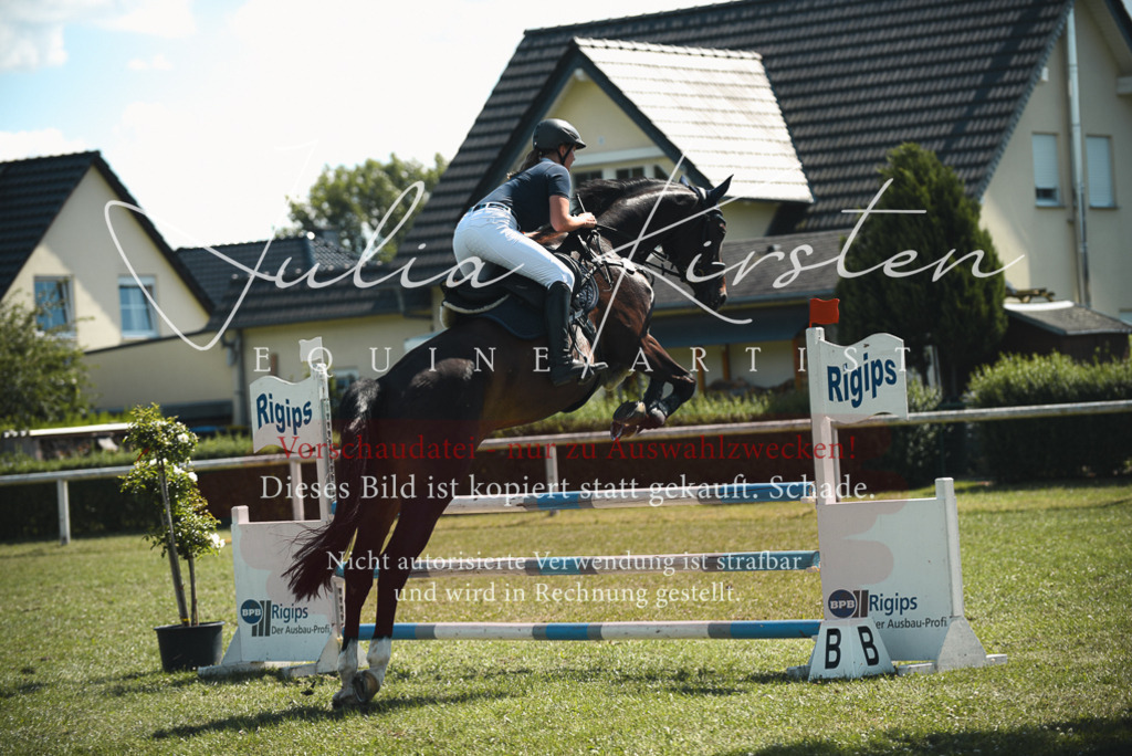 DSC_7009 | Pferde- und Turnierfotografie in Westsachsen. Pferdeportraits, Auftragszeichnungen und intuitive Kunst.