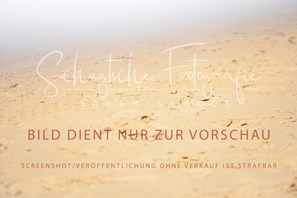 Schugtsche-Aluta25-49.Dressurpferdeprf.A-310 | Schugtsche Fotografie - Realized with Pictrs.com