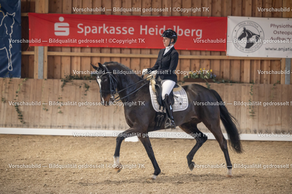 _D5A2585 | Emotionale Pferde- & People-Fotografie rund um Heidelberg, Leimen & Umgebung. Natürliche Fotos von Pferd, Mensch & Familie. Jetzt Termin sichern!