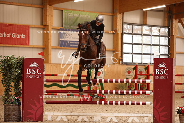 1J2A8632Tina Hertel_ Uriko_s Unicus_ Kn479_ Glantz_ Hohen Wieschendorf | Foto- und Videografie für alles rund ums Pferd. Hochwertige Bilder und Videos vom Spring- und Dressurreiten, Voltigieren & mehr. Jetzt aktuelle Veranstaltungen und Preise im Shop ansehen. - Realisiert mit Pictrs.com