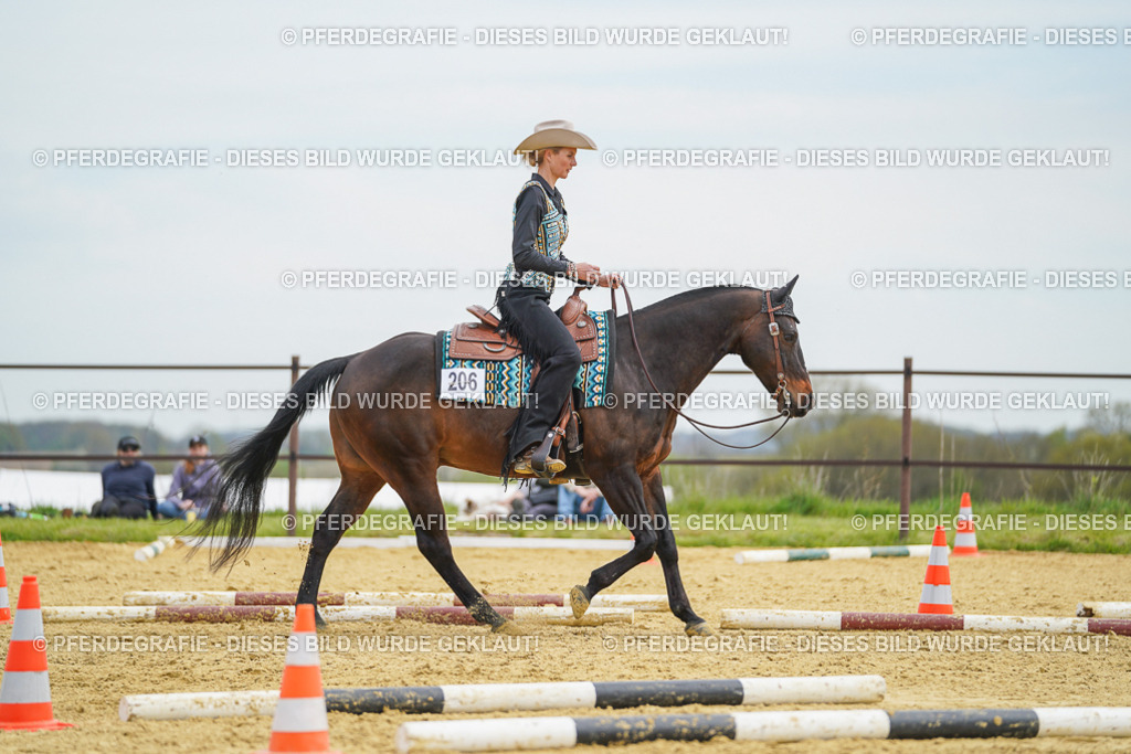 DSC03176 | Pferdegrafie