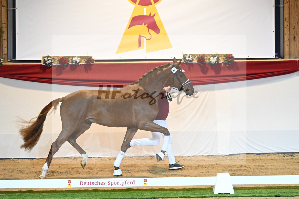 Kat-Nr. 44 Donier_Hertweck_1230036 | hf-fotografie - Realisiert mit Pictrs.com