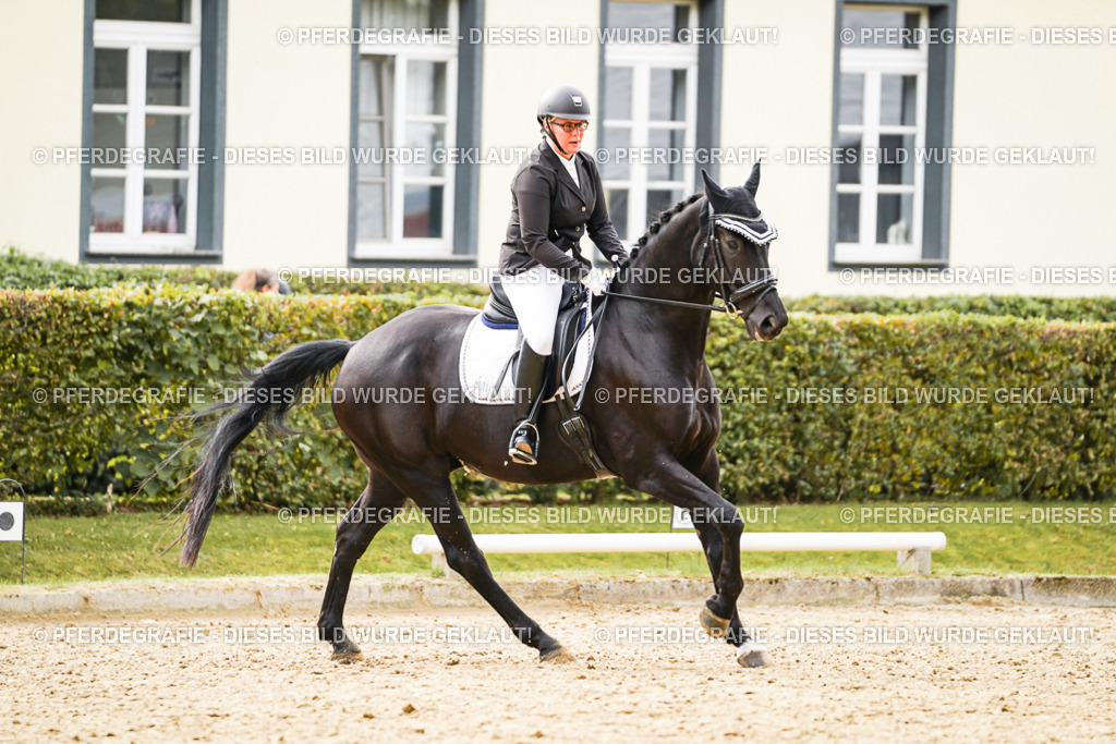 DSC01190 | Pferdegrafie