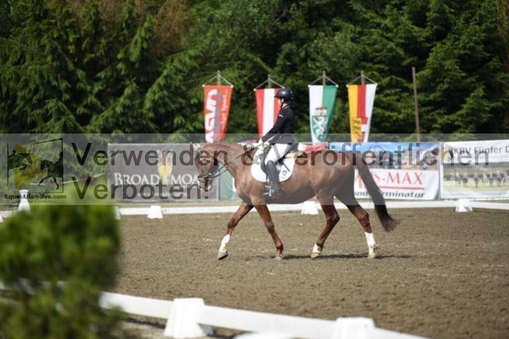 DSC_9682 | equestrian-live-com