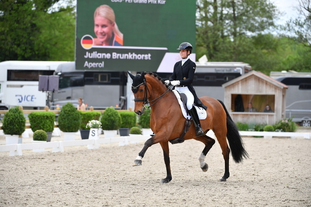 Brunkhorst_16_326 | Der professionelle Turnierfotograf ✓ Reitsport Bilder ▷ Shop ✚ günstig & schnell ✚ mit Zugang für Redakteure