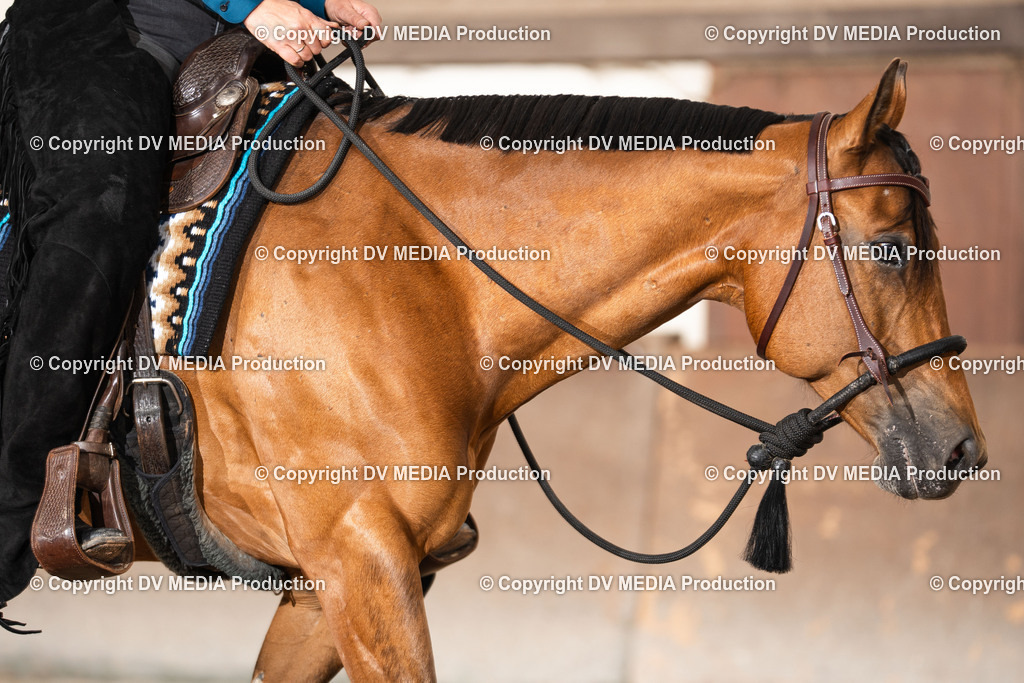 Heiligenwald Tag 1-2390 | dv-media-shop - Realisiert mit Pictrs.com