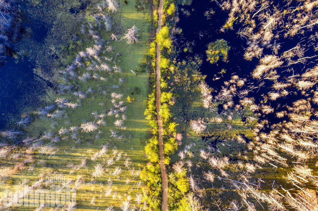 PS-Aerials-2026-92 | Entdecke die größte Bildgalerie der Region mit Fotografien aus dem Allgäu, der Bodenseeregion, Oberschwaben, dem Donautal und der Schwäbischen Alb. Landschaften, Luftaufnahmen und Reisefotografie als Wandbild und Fotokunst. - Realisiert mit Pictrs.com