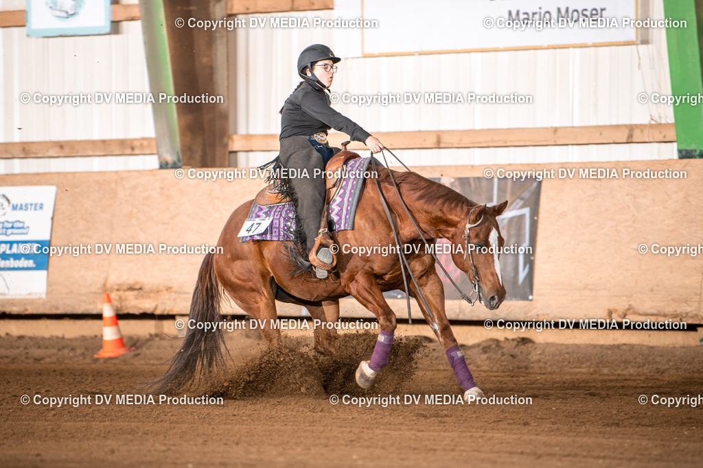 Balingen Tag 4-1114 | dv-media-shop - Realisiert mit Pictrs.com