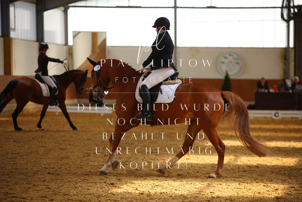 IMGT4684 | pl-fotografie