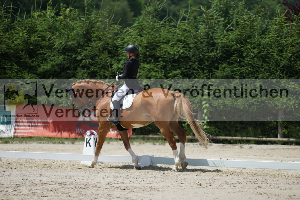 DSC05035 | equestrian-live-com
