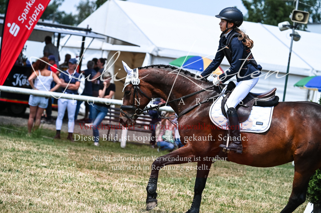 DSC_9600 | Pferde- und Turnierfotografie in Westsachsen. Pferdeportraits, Auftragszeichnungen und intuitive Kunst.