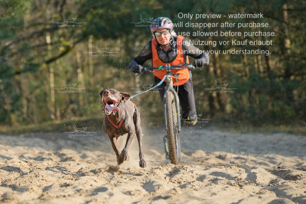 So_Scooter-171 | stephaniefillaphotographie - Realisiert mit Pictrs.com