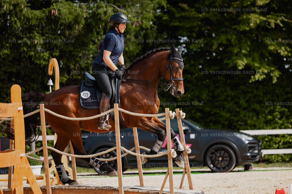 Nadine22_FHC2025-119 | working equitationturnier fotograf videograf stoibphotography marixx film working equitation deutschland reitsport turnierfotografie eventfotografie equestrian events