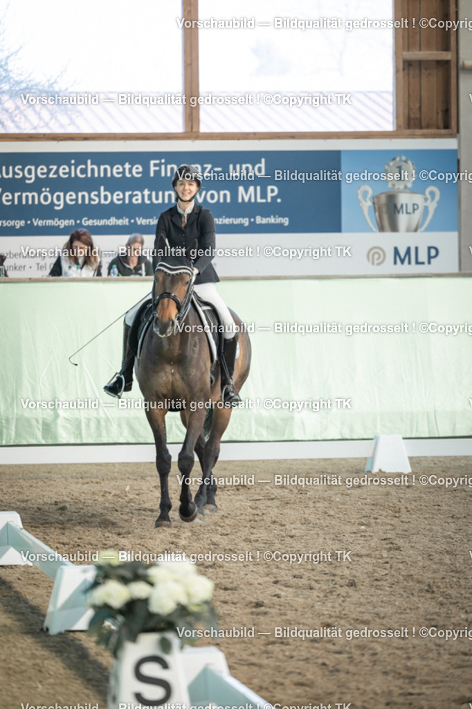 _D5A2961 | Emotionale Pferde- & People-Fotografie rund um Heidelberg, Leimen & Umgebung. Natürliche Fotos von Pferd, Mensch & Familie. Jetzt Termin sichern!