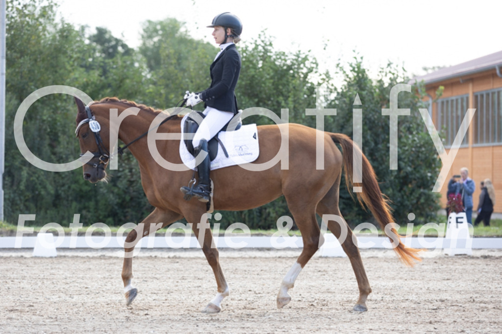 IMG_9921 | Creatify Fotografie