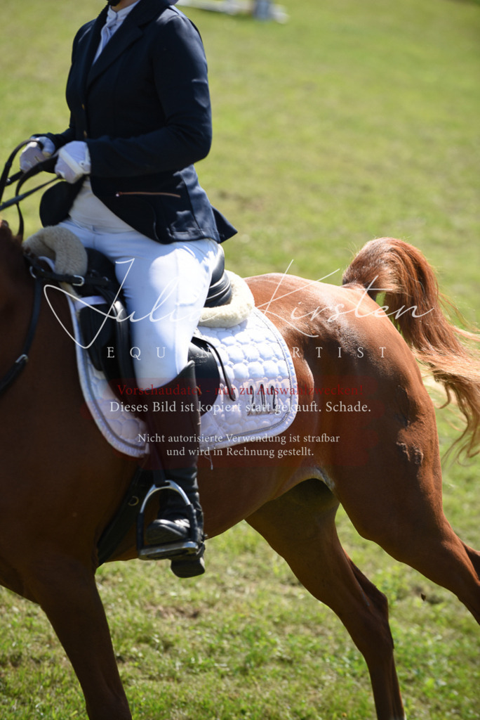 DSC_9656 | Pferde- und Turnierfotografie in Westsachsen. Pferdeportraits, Auftragszeichnungen und intuitive Kunst.