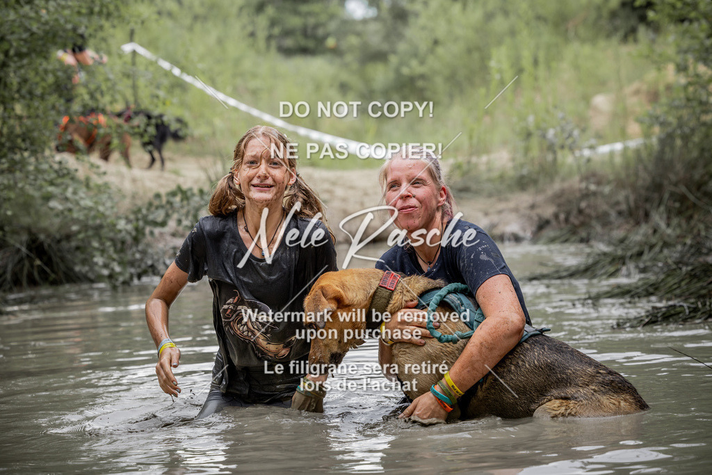 nelerasche_so1515-1530_263 | nelerasche