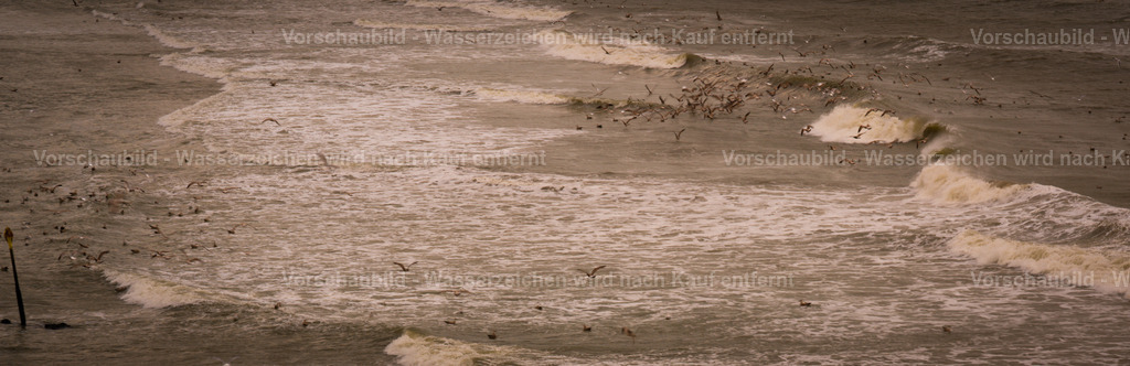 DSC00445 | marcuslinek