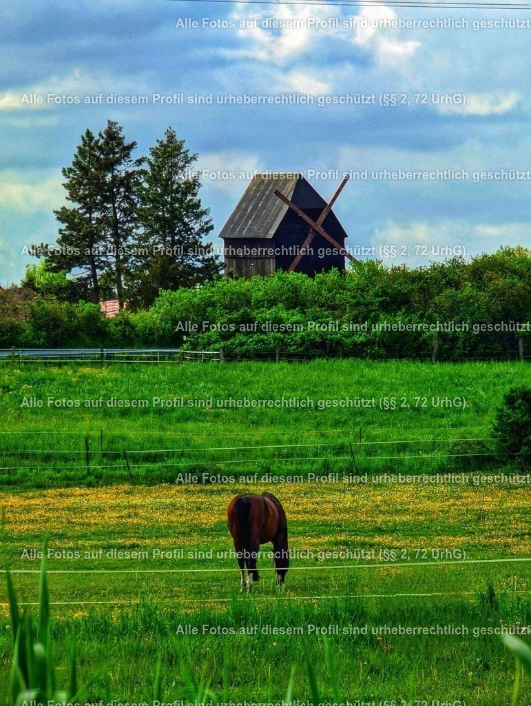 eZy_watermark_17-05-2023_12-54-01_2-01 | krollfotografie - Realisiert mit Pictrs.com